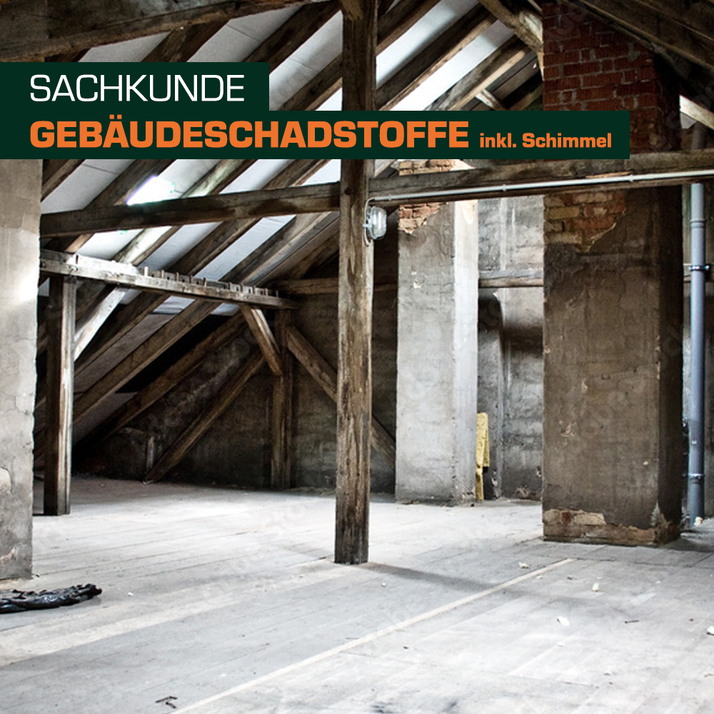 Das Bild zeigt einen ungenutzten Dachboden mit Holzständern und betongrauen Wänden. Der Raum ist lichtdurchflutet, mit einem klaren Blick auf die Dachkonstruktion. Ein Textfeld beschreibt das Thema "Gebäudeschadstoffe inkl. Schimmel".