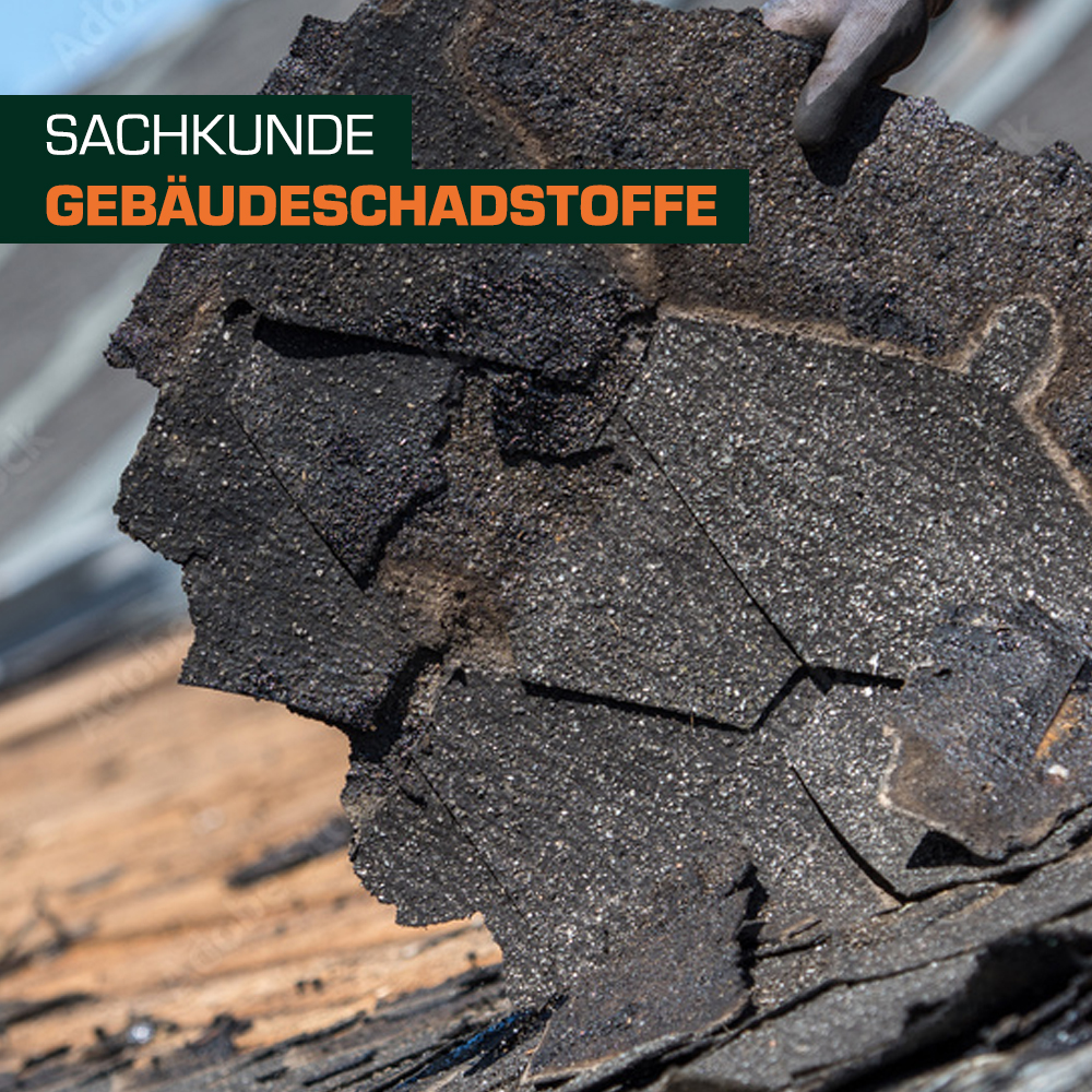 Eine hand hält eine beschädigte Dachschindel, die aufgeplatzt und zersplittert ist. Der Hintergrund zeigt einen unscharfen Dachbereich. Der Text "Sachkunde" und "Gebäudeschadstoffe" ist in grün und orange eingefügt.
