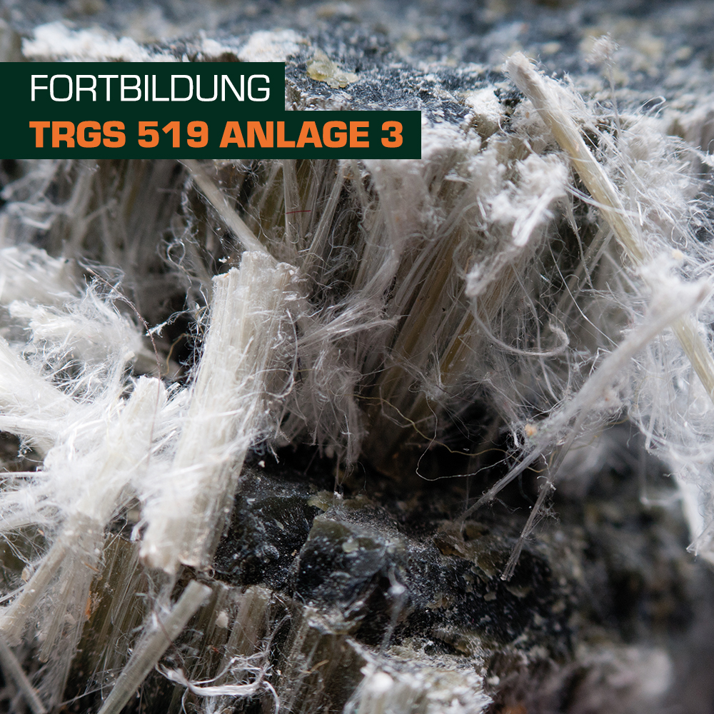 Nahaufnahme von mineralischen Fasern auf einer Oberfläche, die eine Asbestbeschaffenheit zeigt. Oben links steht der Text „FORTBILDUNG TRGS 519 ANLAGE 3“ in einer klaren Schriftart.