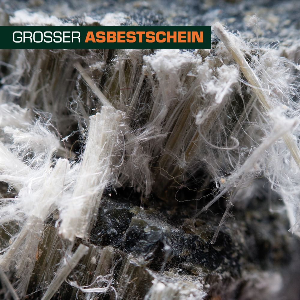 Nahaufnahme von Asbestfasern, die aus einer dunklen Gesteinsoberfläche herausragen. Die fasrigen Strukturen sind weiß und erscheinen leicht verworren. Darüber steht in großen Buchstaben der Text "GROSSER ASBESTSCHEIN".